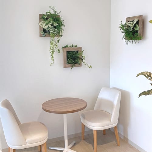 グリーンフレーム